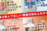 【画像】「飲むカップヌードル」誕生ｗｗｗｗｗｗｗｗｗｗ