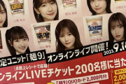 【朗報】AKB48 × 日清カップヌードル　コラボキャンペーン開催　決定！！