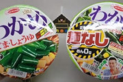 海外「それはもう普通のわかめスープなのでは？」エースコックが日本で発売したわかめラーメン麺なしに対する海外の反応
