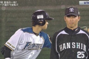 プロ野球のgifで打線組んだwww