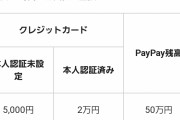 神「24時間以内にPayPay100万円分使い切れ。できなかったら命を貰う。PayPayを誰かに送るはダメよ」