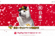 ソフトバンク日本一記念キャンペーン｡PayPayボーナス最大100万円相当が当たるやYahooショッピングで優勝セール開催中