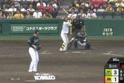 【阪神対ヤクルト6回戦】阪神、5回裏に中野の犠牲フライで1点差に詰め寄る！！！！！