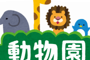 【朗報】『動物園』という施設がヤバ過ぎると話題に！ｗｗｗｗ