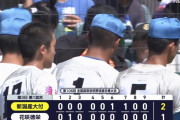 【悲報】花咲徳栄、夏の甲子園初戦敗退…