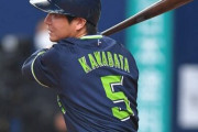 川端慎吾(33) .380HR1本17打点OPS .934←全盛期超えてるやんけ