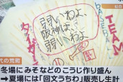【画像】脳破壊された小6男子、せつない川柳を詠んでしまう