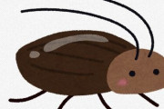 大阪大学がゴキブリをサイボーグ化　複雑な障害物や地形を乗り越えさせる実験に成功　大阪大など