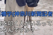 【動画】神奈川新聞の記者さん、奈良公園へ取材に行って「鹿への暴行が行われている」事を確認する