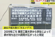 【画像】警察さん、『カルタヘナ法』とかいう初逮捕の罪名に気合い入れすぎて展示してしまう