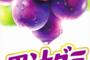 【悲報】グミ界隈、完全に進化が止まってしまうｗｗｗｗｗ