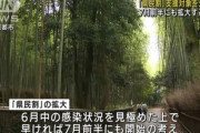 旅行割引｢県民割｣､7月前半に対象を全国に拡大　感染状況の改善が確認できれば