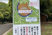 【悲報】東京オリンピックさん、五輪のために代々木公園の森林を伐採中