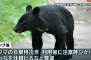 長野県上高地・小梨平キャンプ場にクマ出没、テントの中で女性襲われケガ