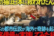 海外スター「日本人だけが理解してくれた。日本は素晴らしい」←こういう動画の正体、○○らしい