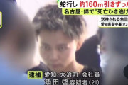 約160m蛇行しながら引きずったか…繁華街で29歳女性を車でひき逃げしてﾀﾋ亡させた疑い 21歳男を送検 容疑を認める　[6/9]