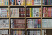この本棚の漫画全部読んだワイ、逆にすごくね？？？？？