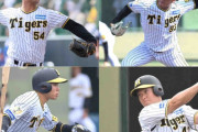 阪神　加治屋、高浜、岩田、遠藤が戦力構想外　遠藤、ウエスタン最高出塁率と奮闘も１軍出場ならず