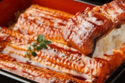 土用の丑の日を前に「ウナギ」の出荷が最盛期、今年のウナギの価格と質は例年並み
