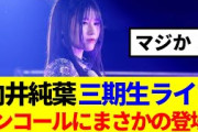 【櫻坂46】向井純葉、三期生ライブアンコール中にまさかのサプライズ登場！