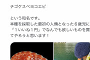 【朗報】新種のエビ「チゴケスベヨコエビ」を発見した6歳児、46万円のお小遣いをもらうｗｗｗｗｗｗ