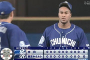 【ヤクルト対中日20回戦】ヤクルト対中日は０－０で引き分け