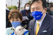 立憲議員さん、当選した途端に選挙期間中ずっと連れ回してたかわいい子ヤギを処分  [11/4]