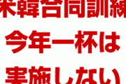 米国「韓国との合同訓練は今年一杯実施しない」　完全に見捨てられたな…