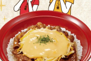 【艦これ】赤城「すいません、三種のチーズ牛丼の特盛りに温玉付きでお願いします」