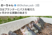 【悲報】おーちゃんねるさんと釣り人、レスバ開始