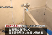 埼玉県のアパート浴室で豚解体したベトナム人入管法違反で逮捕…スマホに現場写真