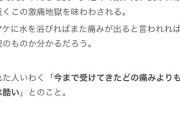 【悲報】ギンピ・ギンピ(自殺植物)←この葉っぱ危険過ぎワロタｗｗｗｗｗｗｗｗｗｗｗｗｗｗｗｗｗｗｗｗ