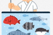 お魚天国に影響された親に魚食べさせられて育った僕、頭悪すぎる