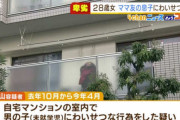 ママ友の息子に性的虐待で28歳逮捕