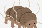 【生物】遂に最強生物“クマムシ”の弱点が発見される