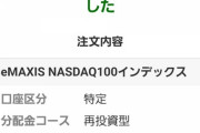 【画像】投資初心者ワイ、今さっきNASDAQに200万円ガチのマジで投資してしまう