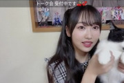 【SKE48】野村実代とこのヌコはある意味いい表情するなあ