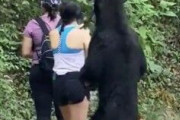 クマに擦り寄られてもまったく動じないメキシコの女性たち「メキシコでは熊よりも人間のほうが残虐」