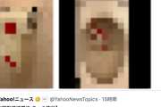 【サヨク悲哀】国旗損壊チャレンジャーさん、赤丸が描かれたトイレットペーパーを便器に流しご満悦「カモーン逮捕」（動画/画像）