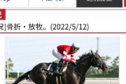 【5億円馬のディープ産駒】藤田晋氏所有のドーブネが骨折か