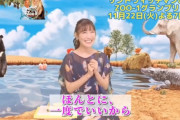 【11/22】本日のももクロ情報！れにちゃん｢ZOO-1グランプリ｣放送！高城れに生誕グッズ “等身大 抱き枕” 本日販売スタート！
