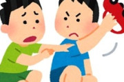 義兄嫁の差し金で甥がうちの子に「いらなくなったらぼくに頂戴ね！」「まだいる？もういらなくなった？」としつこくクレクレしてくる