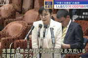 【異次元の少子化対策】岸田政権「なんで増税決めたのに子供が増えないの？ラストチャンスなんだが？」
