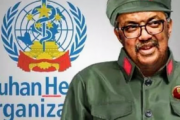 【新型肺炎】WHO「アメリカ、いい加減にしろ！中国ウイルスとかふざけたこと言うな！」