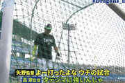 【朗報】高津と矢野って割と喋るんやな