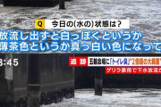【悲報】韓国の下水事情、とんでもない