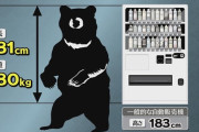 【悲報】181cm180kgのツキノワグマが現れてしまう…