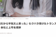 【悲報】pixivの役員さん、トランス女性社員への『セクハラ謝罪後』に股間に顔を埋めるなどして訴えられてしまうｗｗｗｗ