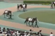 和田雄二調教師が意識不明の重体　美浦トレセンで調教中に落馬