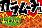 J( ‘ｰ`)し「あんたに頼まれてたカラムーチョ買って来たわよ」彡(^)(^)「サンキューマッマ」